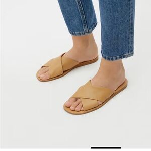Everlane the day crossover sandals